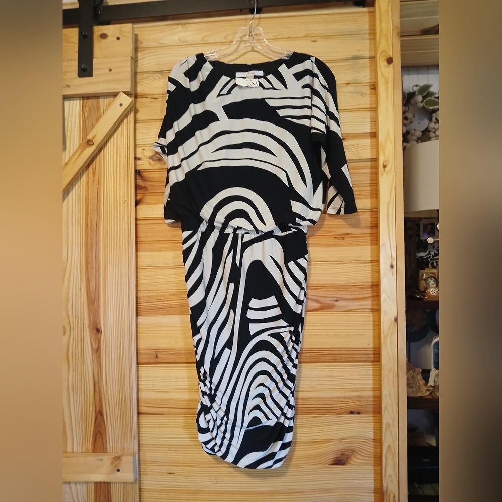 Boston Proper Dress Size 6